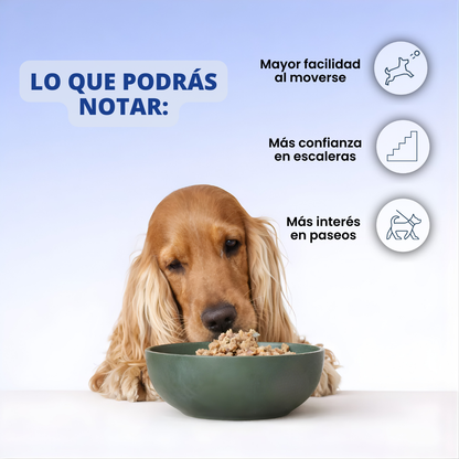 VitalPaws Colageno™ - Movilidad y bienestar desde adentro.