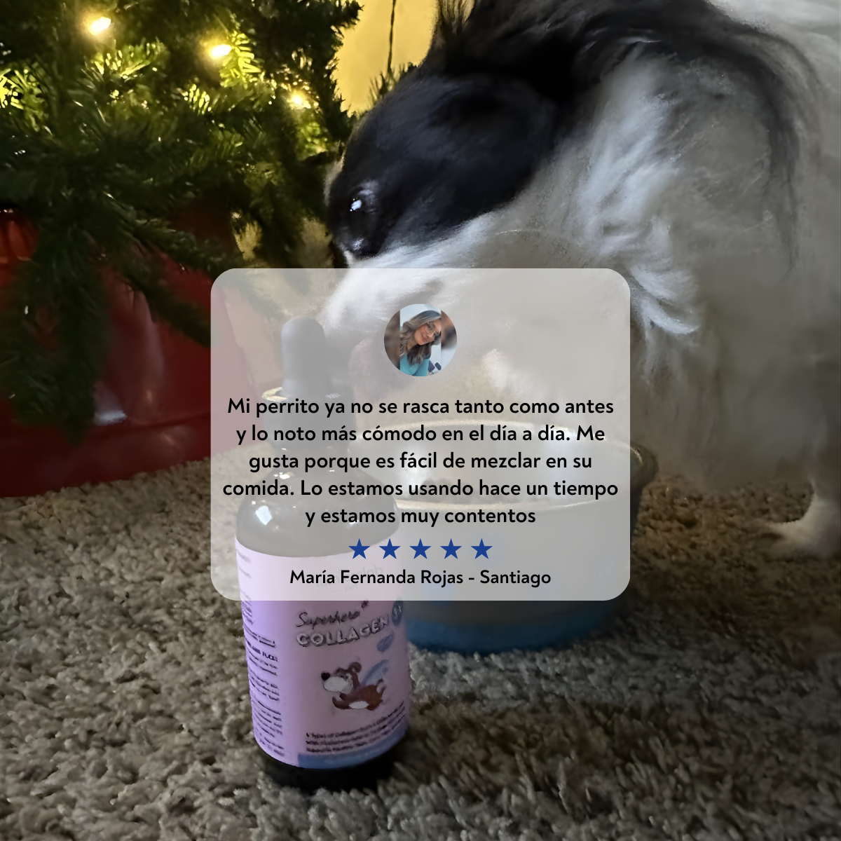 VitalPaws Colageno™ - Movilidad y bienestar desde adentro.