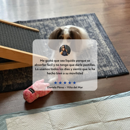 VitalPaws Colageno™ - Movilidad y bienestar desde adentro.